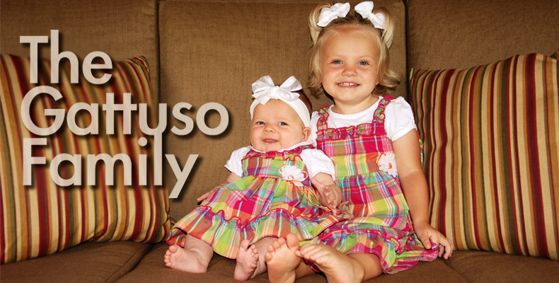 The Gattuso Family Blog